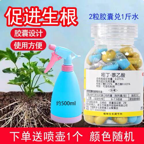 护花匠吲丁萘乙酸生根剂