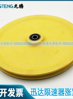 电梯配件5500S限速器涨紧轮 直径250mm轴承6201 57637799