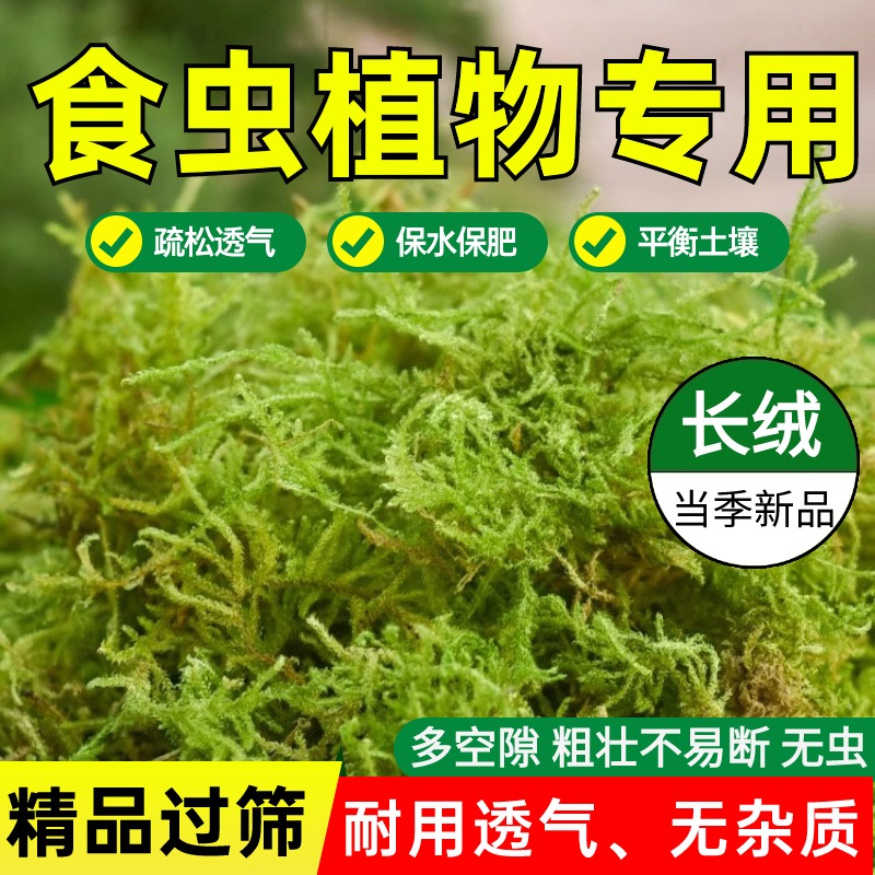 食虫植物专用土种植营养土捕蝇草
