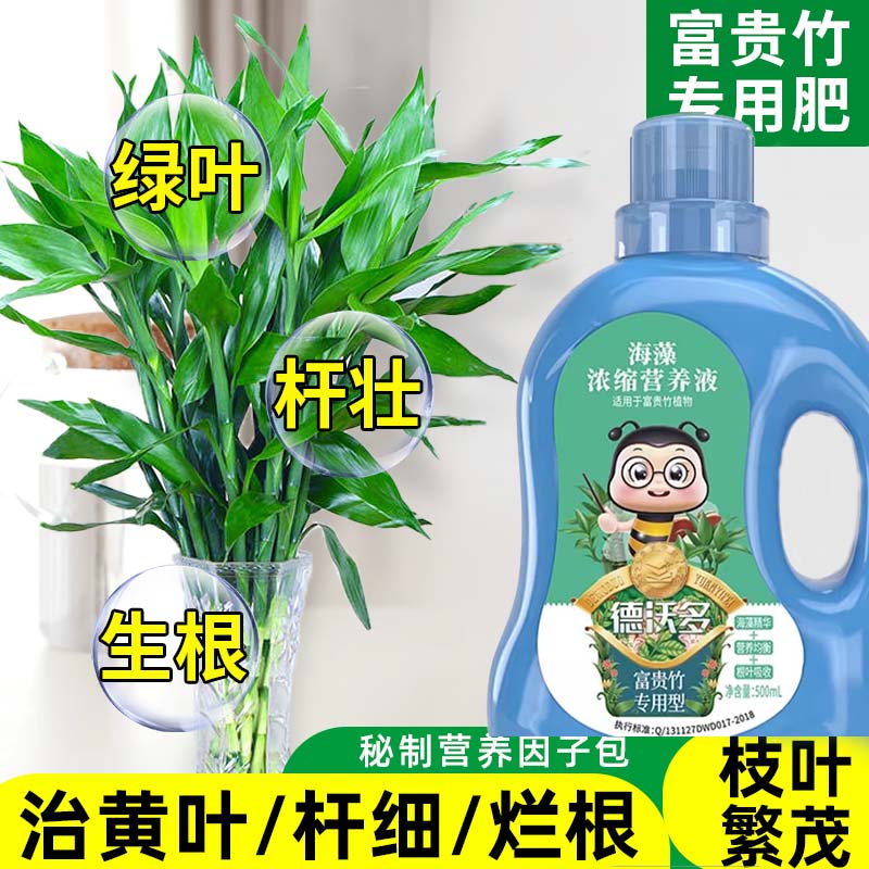 富贵竹专用营养液水培植物通用肥