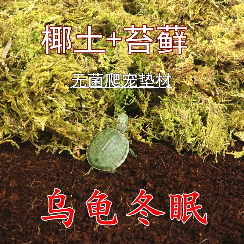 爬宠垫材苔藓保湿乌龟冬眠青苔