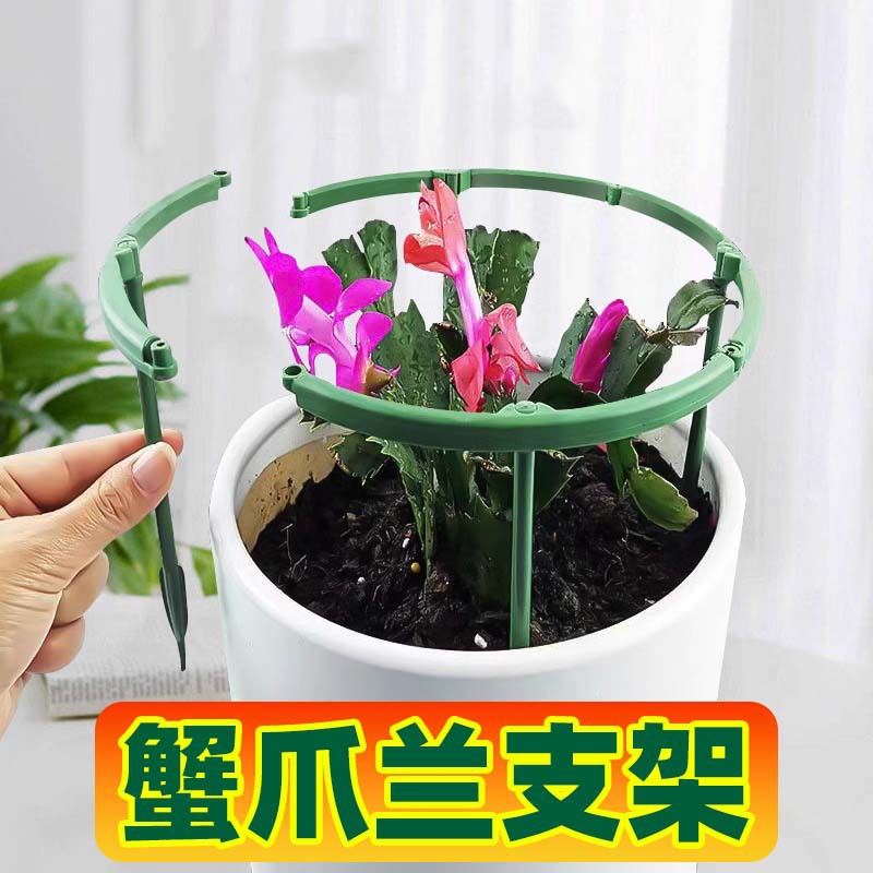 植物支撑杆园艺支架花架爬藤支架室内阳台户外绿萝蟹爪兰固定支架