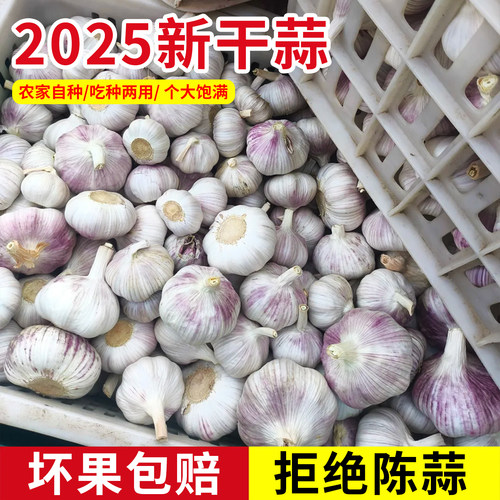 河南农家新干蒜干大蒜蒜苗蒜苔