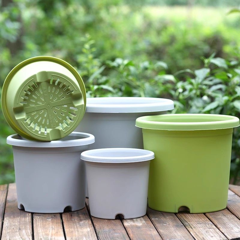 耐用四季盆塑料花盆树脂无异味透气加仑盆加厚款室外阳台家用特价,鲜花速递/花卉仿真/绿植园艺,花盆,淘宝优惠券,粉丝福利购,淘宝优惠卷