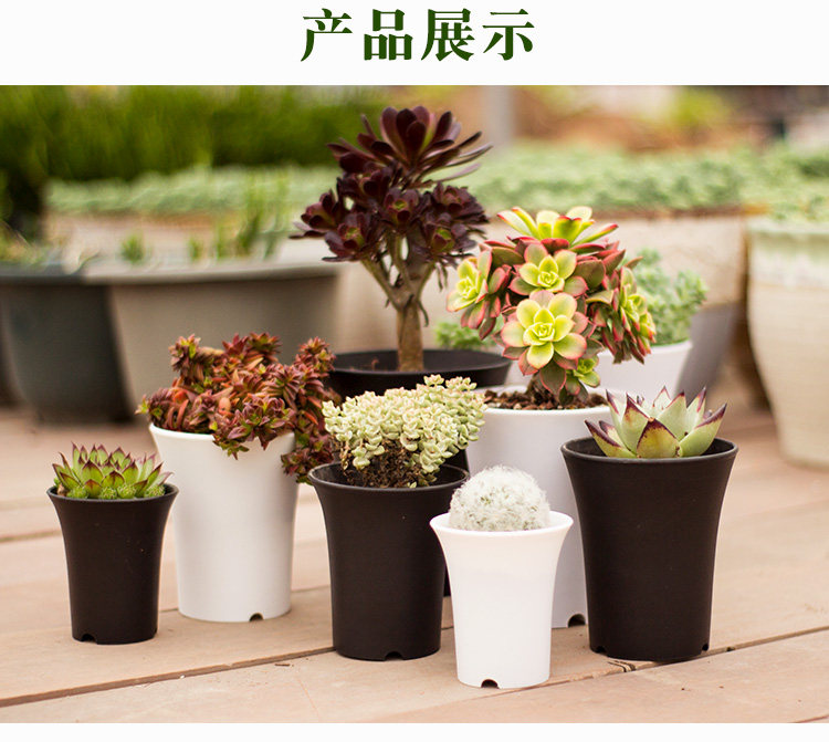 多肉 万象盆 高筒塑料花盆 黑色圆形加厚加重