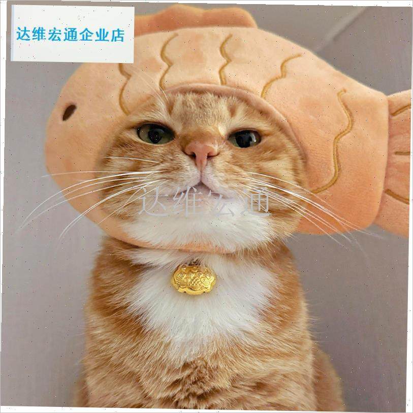 烧猫帽子可爱有趣的宠物头饰变装F照片卡通狗头饰兔子大白鹅.,宠物/宠物食品及用品,帽子,淘宝优惠券,粉丝福利购,淘宝优惠卷