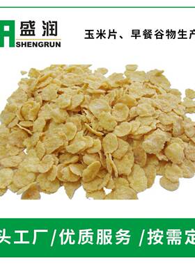 小型全套加工机器厂家直销商业免煮即食谷物玉米片生产线