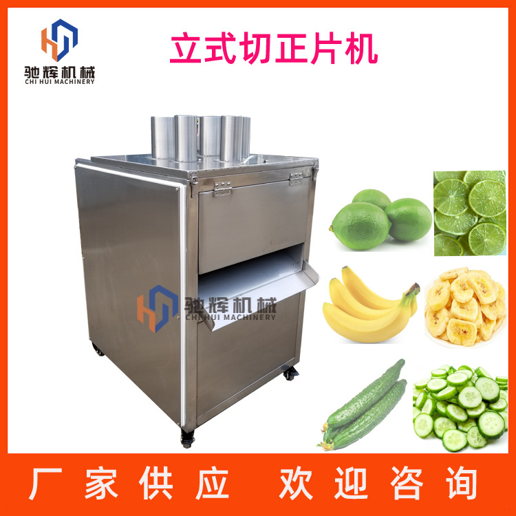 不锈钢瓜果切片机 商用香蕉正片机  多功能球根茎切菜机视频