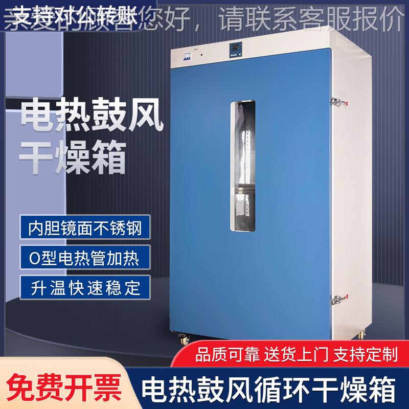 智能控温电热鼓风干燥箱实验室RT10-00°C恒温食品中药材烘烤箱