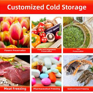 冷库成套设备定制新鲜水果冷藏保鲜库农业商业大型速冻冰库冷冻库