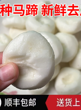 【顺丰包邮】去皮马蹄荸荠新鲜大果开袋即食蔬菜水果新鲜现挖现发