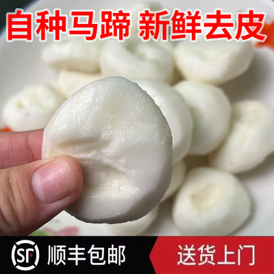 去皮马蹄荸荠开袋即食