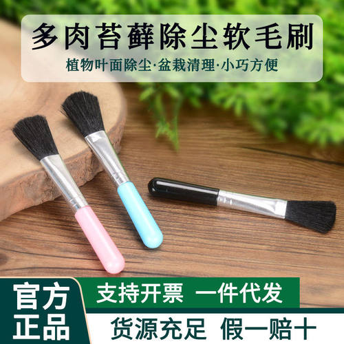 多肉苔藓工具软毛刷植物叶面除尘清洁刷园艺盆栽清理除灰小刷子