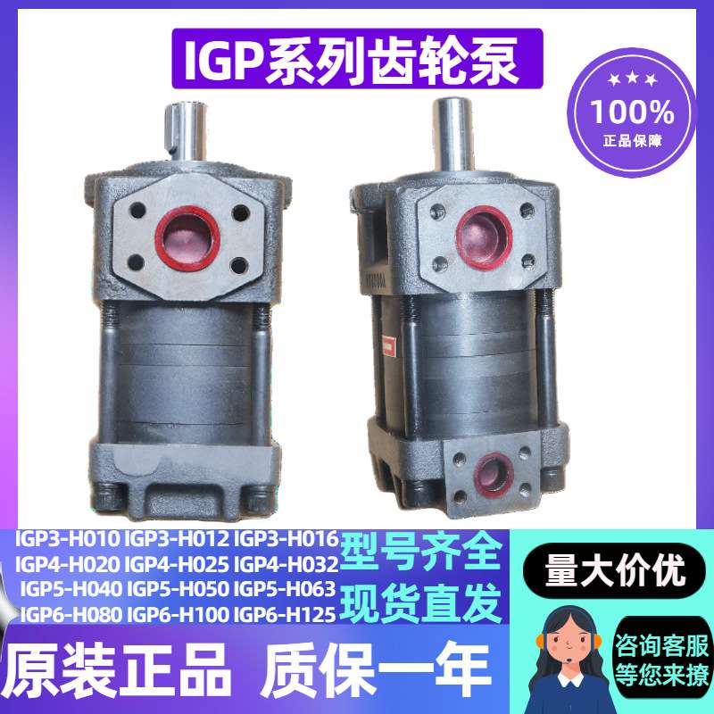 大流量齿轮泵IGP5-H040 H050 H063 IGP6-H080 H100 H125 液压泵头