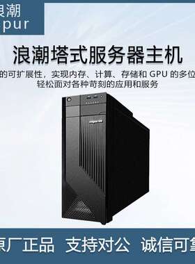 浪潮 NP3020M7 塔式服务器主机 企业文件共享云存储OA财务办公erp