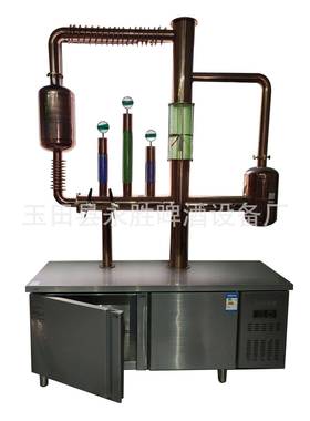 啤酒屋自鲜啤酒6售酒柜（0LGGY1-20L酿）