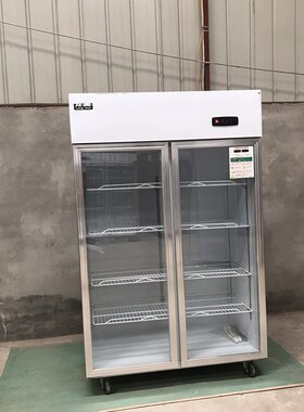 新品龙美立式两门展示柜冷藏冰柜饮品饮料保鲜陈T列展示蔬菜商用