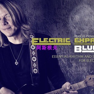 极速TrueFire Electric Expression Blues AOndy Timmons 蓝调演