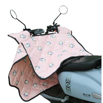 极速Elecctric vehicle windshield four seasons 2022 new wind