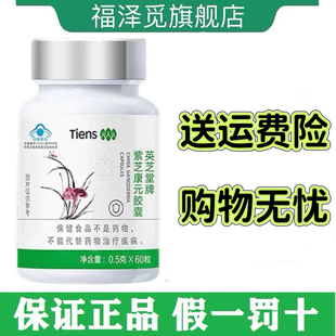 天狮牌紫芝康元胶囊英芝堂牌紫芝康元胶囊天狮天师官方正品旗舰店