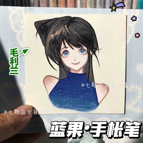 蓝果大容量手账笔可叠色