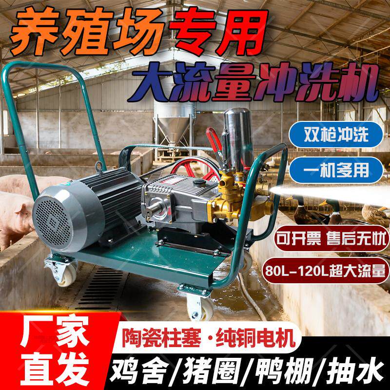 养殖场专用高压清洗机双枪120/180型大流量冲洗猪栏鸡鸭棚洗车机