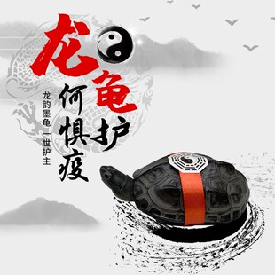2022墨纹龙龟虎纹金龟纯种全黑顶墨龟养一对中华金线活物稀有乌龟