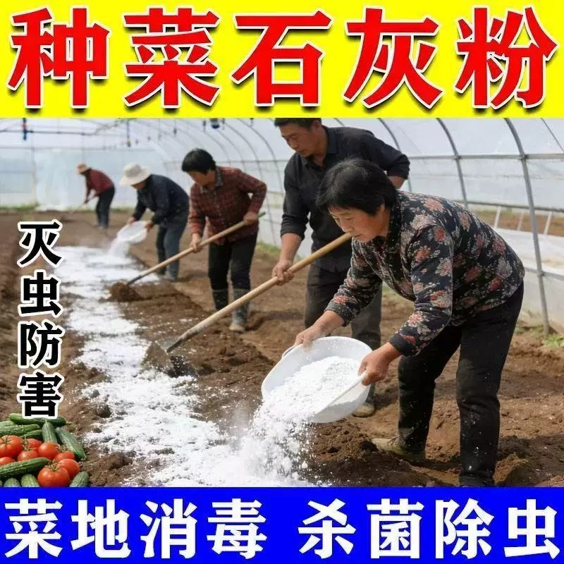 石灰粉杀虫消毒灭菌干燥剂
