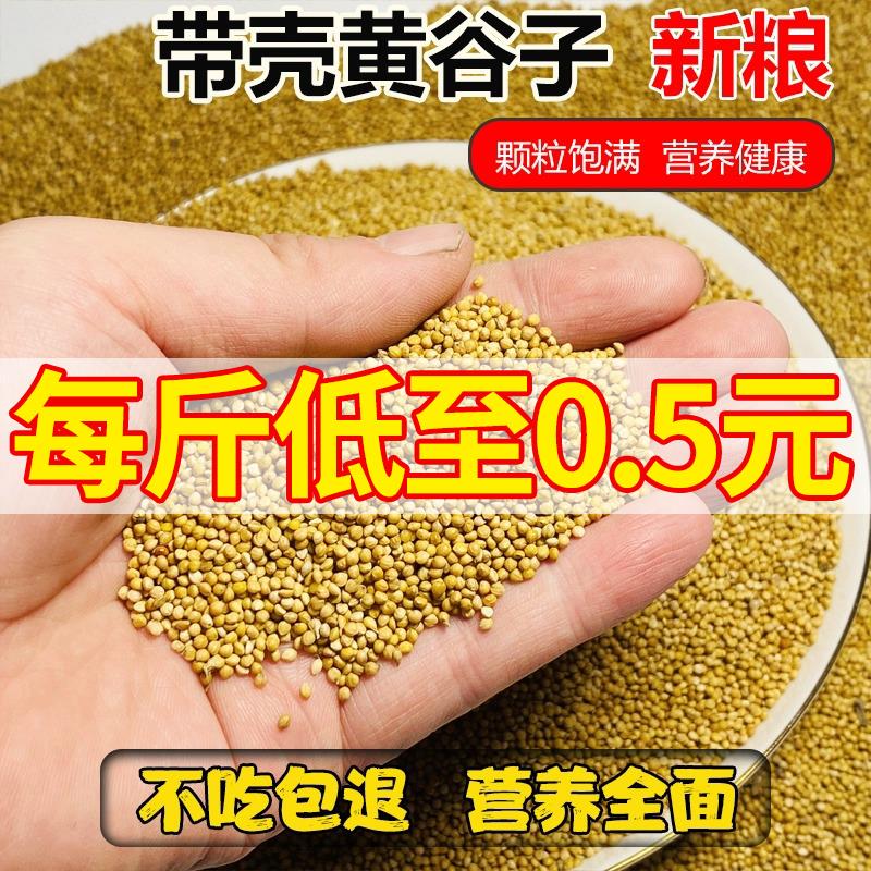 鸟食饲料物牡丹谷子珍珠鹦