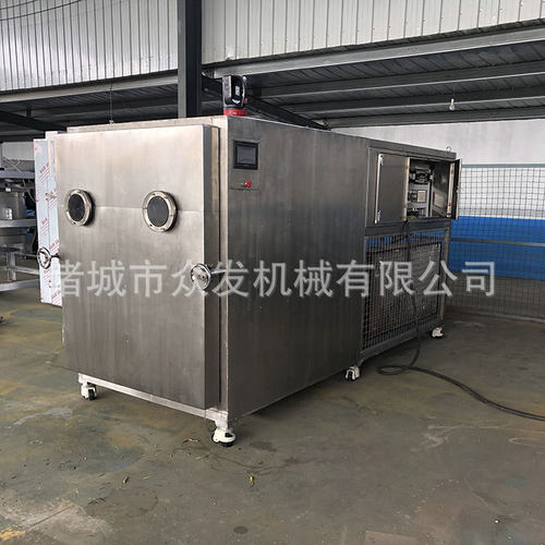 新鲜水果真空冻干设备 羊胎盘低温冷冻干燥机 脱水蔬菜冻干机