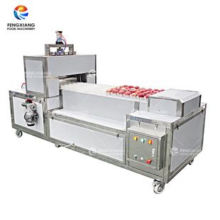 苹果 工厂直销 桃子去核取芯机水果去核分瓣机 全自动