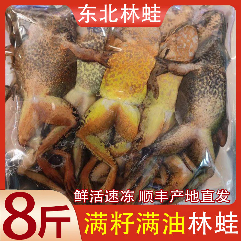东北蛤蟆林蛙雪蛤母豹子新鲜速冻真空发货正宗林蛙产地顺丰包邮