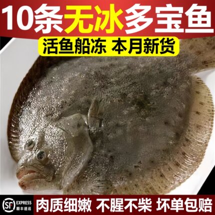 无冰多宝鱼新鲜比目鱼鲜活冷冻海鲜超大鲽鱼深海鱼八宝鱼水产顺丰