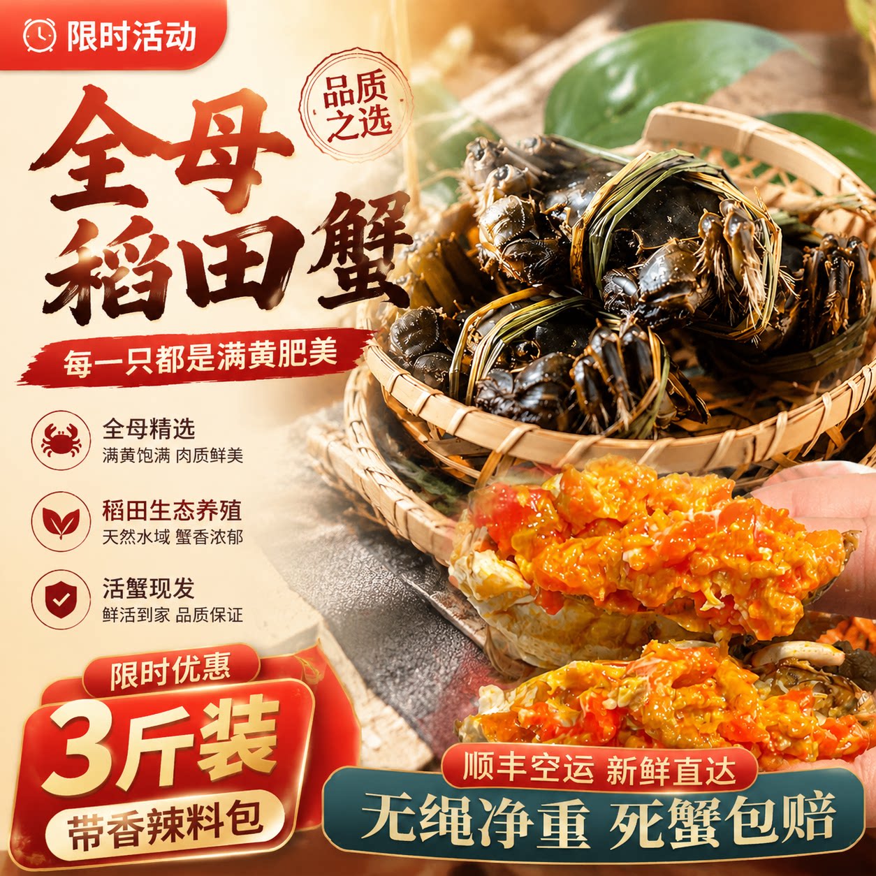 鲜活盘锦河蟹净重3斤正宗盘锦河蟹鲜活特大闸蟹稻田螃蟹顺丰空运