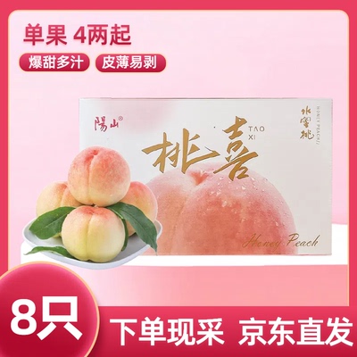 正宗阳山水蜜桃正宗水蜜桃时令水果礼盒桃子无锡特产送礼4-5两8个