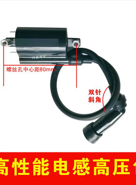 摩托车电喷高压包175 200 250 300适用铃木GN125 EN125 GS125电感