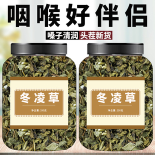 冬凌草中药材野生王屋山雪花草咽喉草冰凌草中草药济源泡茶的功效