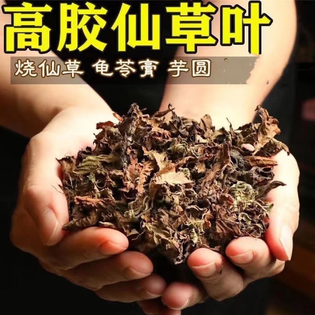 仙草干烧仙草正宗汕尾草粿草
