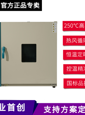 电热鼓风恒温干燥箱高温热风循环工业烤箱实验室老化试验烘箱