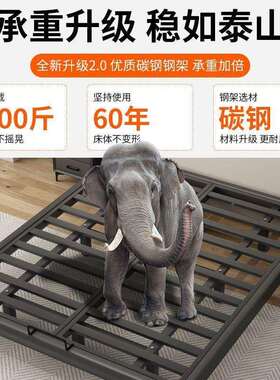 fLE悬浮床现代简约R-99560无床头铁铁架钢架主架卧艺双人床榻榻米