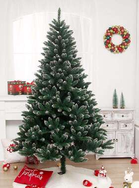 亚马逊跨新SYCT113品圣诞节装饰品加密PV家C境尖头沾白圣诞树居摆