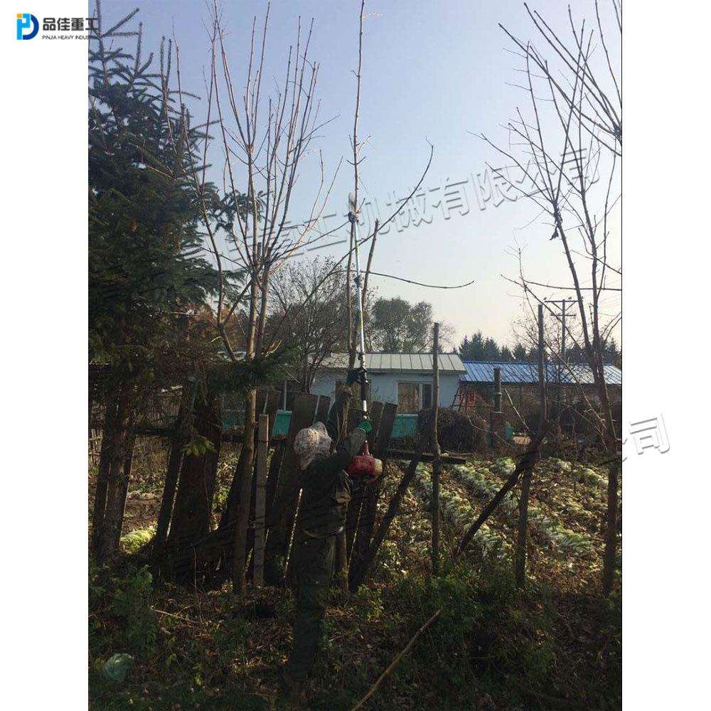 便捷式果林园剪LFF剪林果树枝手持式高空修锯小型汽修油高枝锯