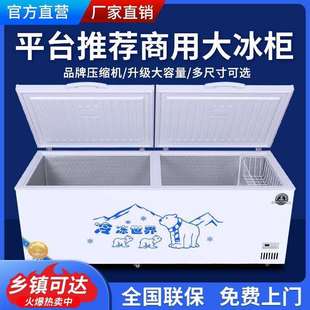 冰冻柜冷藏冷商大用冷链容量鲜单温双温卧式 铜管保941节能电冰箱