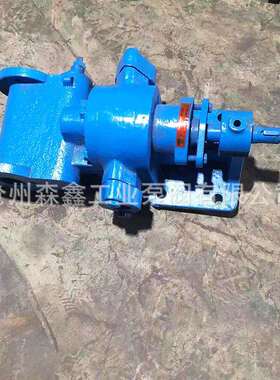 CLB沥青泵重C泵LB乳391化沥青泵道路喷洒重油泵CLB保温沥青型