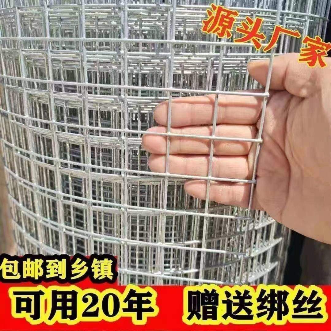 防锈热镀锌钢丝网加粗网防猫超硬铁丝网鸡鸭鹅养殖网防护铁网格网