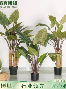 新仿虹真彩芋绿盆载室内造景仿生彩虹芋景绿植盆大001叶仿真植植