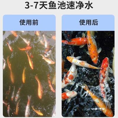 鱼过滤器过滤系统循环系院统大型锦池LWR净水室鲤外庭水循环鱼塘