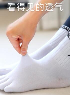 分趾袜子五指瑜伽袜男女纯棉舒适运动健身普拉提地板纯色分脚趾袜