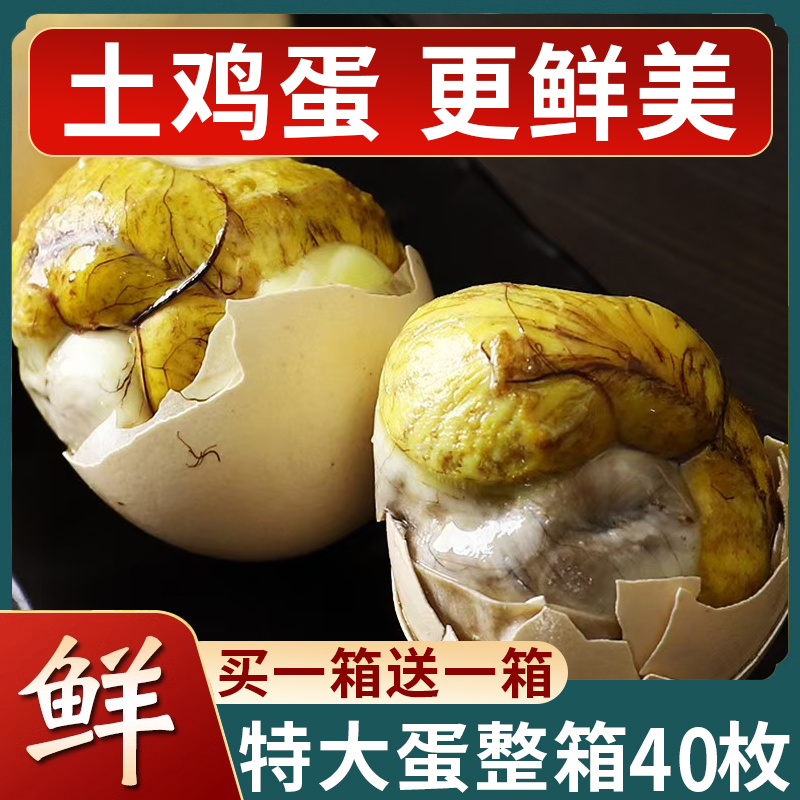 东来推荐！土鸡活珠子巨鲜美