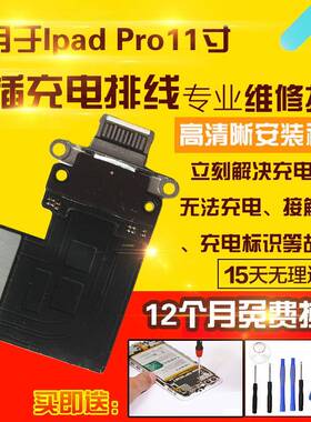 适用于iPad Pro11寸尾插排线A1980/A2013/A1934平板尾插充电排线